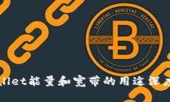 TPWallet能量和宽带的用途深度解析