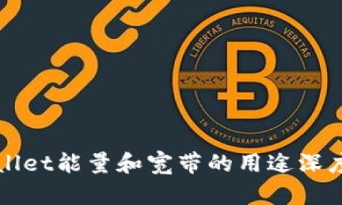 TPWallet能量和宽带的用途深度解析