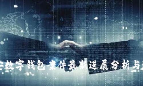 南安数字钱包案件最新进展分析与追踪
