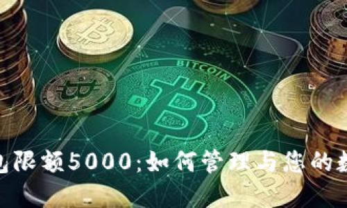 数字钱包限额5000：如何管理与您的数字财务