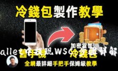 如何在TPWallet中提现WSC：步骤详解与注意事项