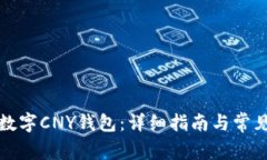 如何下载数字CNY钱包：详