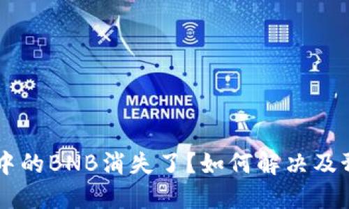 TPWallet中的BNB消失了？如何解决及预防的方法