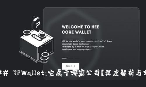 ### TPWallet：它属于哪家公司？深度解析与分析