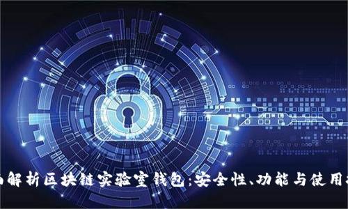 全面解析区块链实验室钱包：安全性、功能与使用技巧