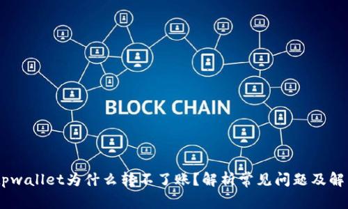 iaotitpwallet为什么转不了账？解析常见问题及解决方案