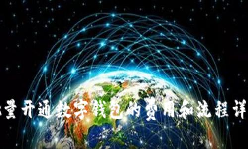 批量开通数字钱包的费用和流程详解