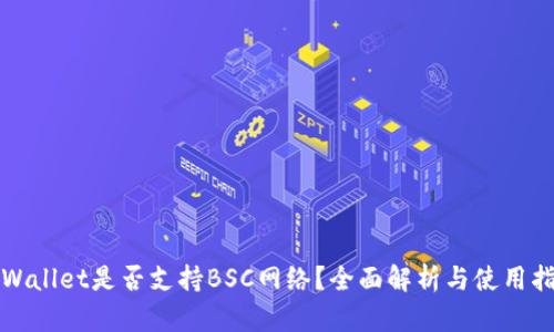 TPWallet是否支持BSC网络？全面解析与使用指南