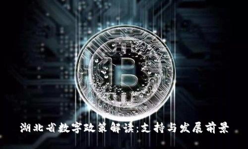 湖北省数字政策解读：支持与发展前景